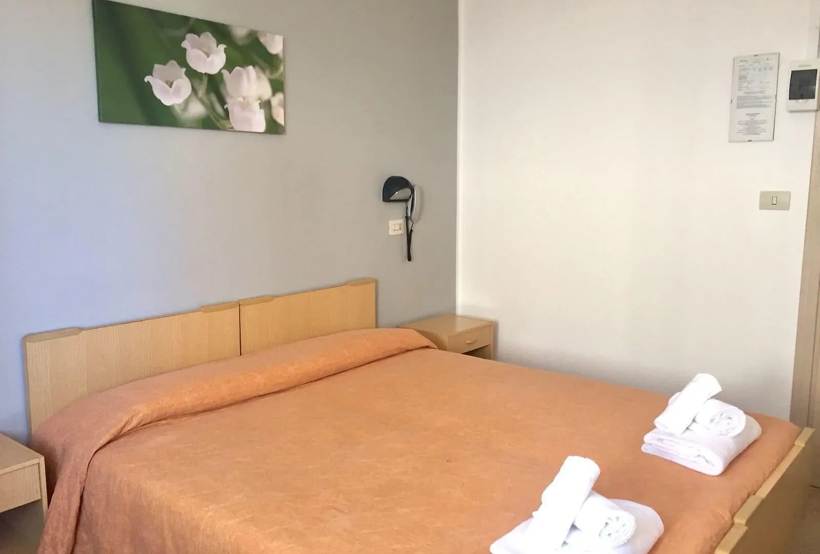 Hotel Ausonia B&B Rimini