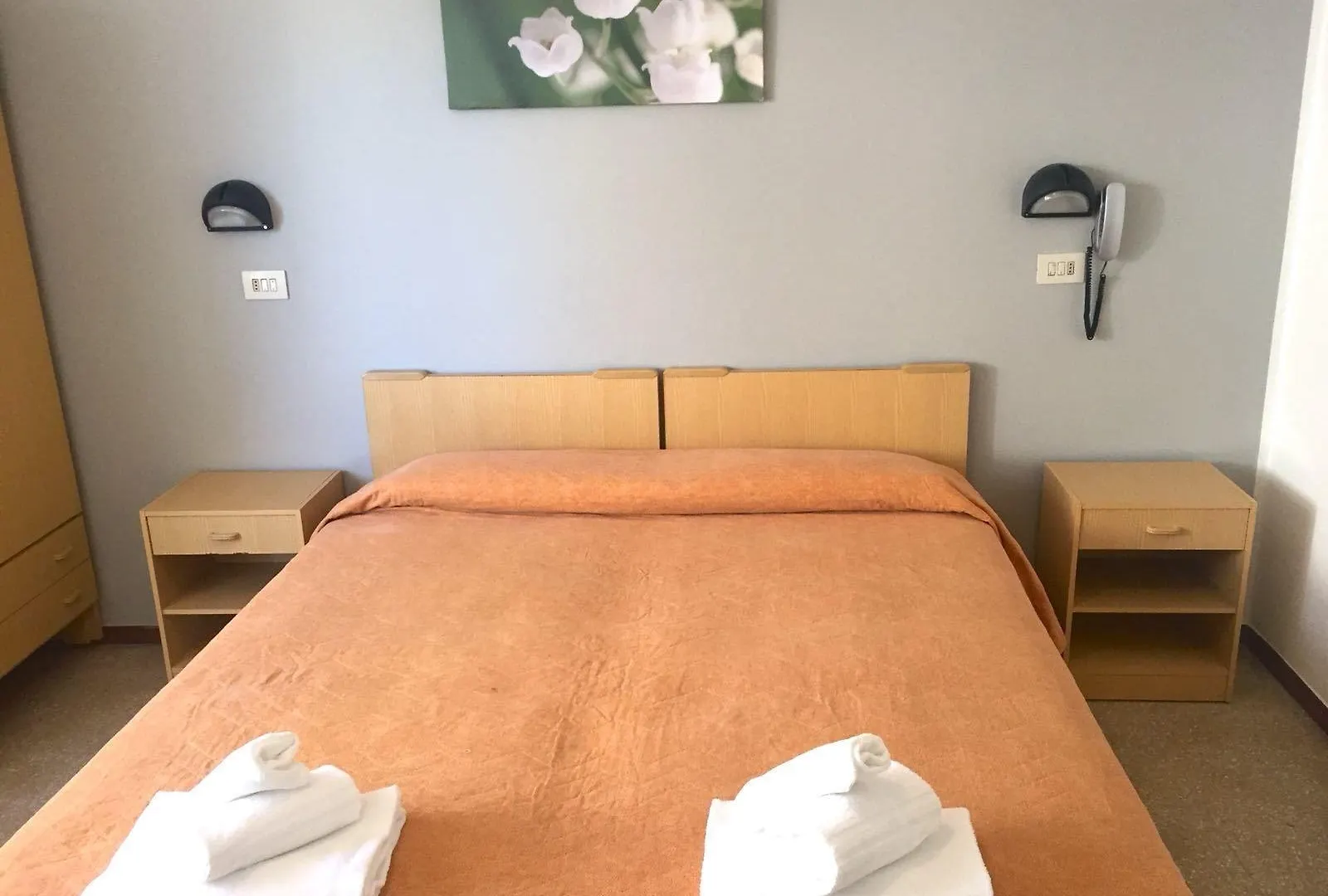 Hotel Ausonia B&B Rimini 3*,
